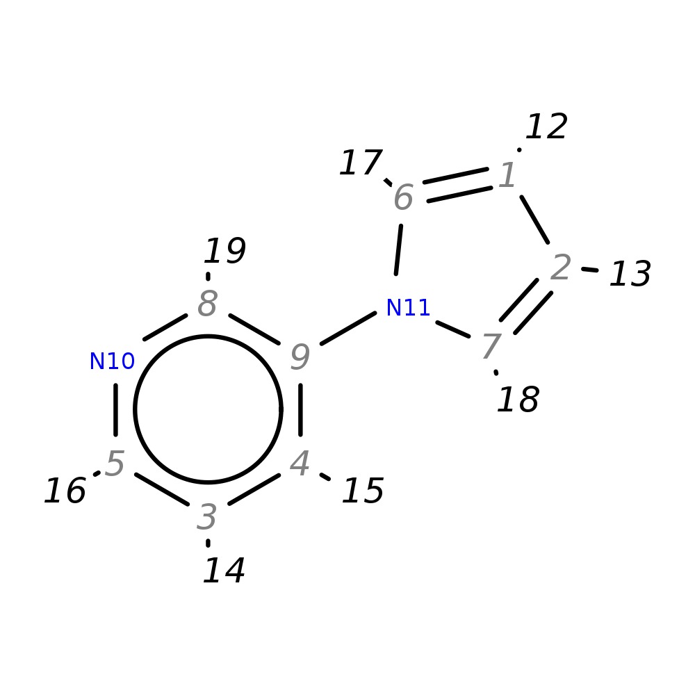 Maybridge_Ro3_Fragment_01_C11