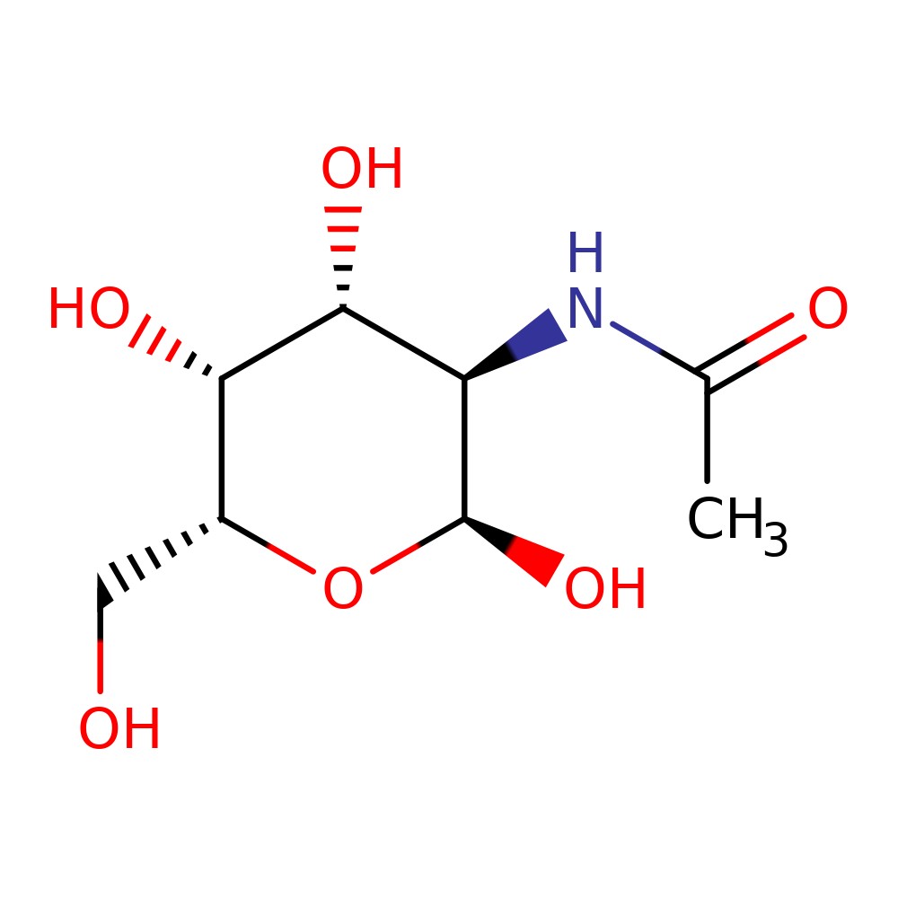 N_acetylgalactosamine