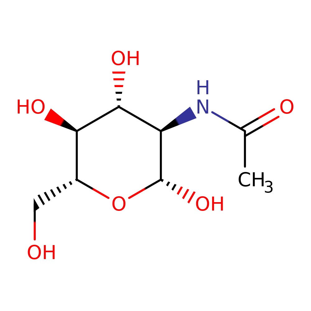 N_acetylglucosamine